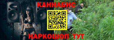 индика Ирбит